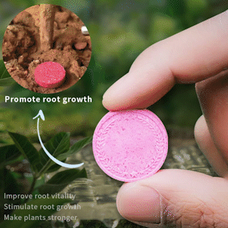 🔥2025 🌞Home Gardening Universal Slow-Release Tablet Organic Fertilizer