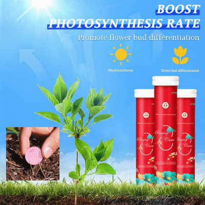 🔥2025 🌞Home Gardening Universal Slow-Release Tablet Organic Fertilizer